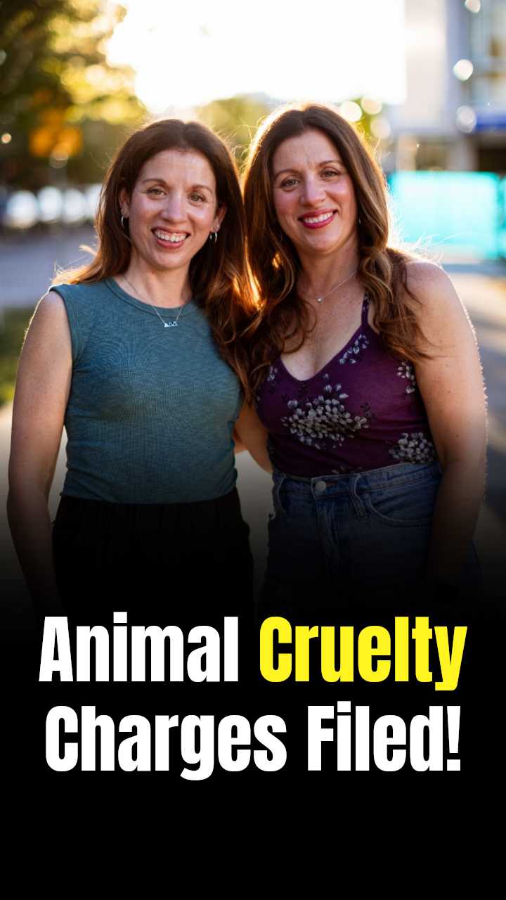Twin sisters face animal cruelty charges after 16-year-old chihuahua ...