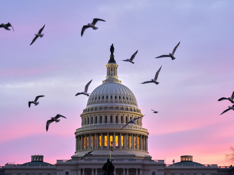 Senate once again fails to advance DHS funding bill