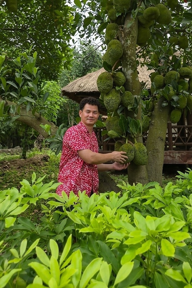 Sở thích làm vườn của nghệ sĩ Xuân Bắc