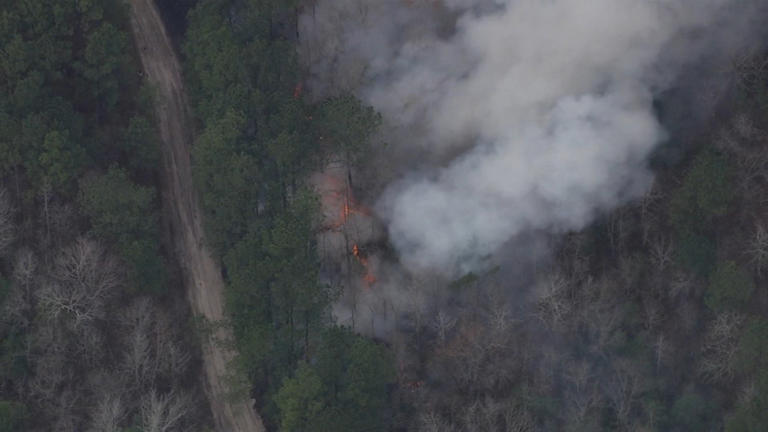 Crew contain large forest fire in Moore County