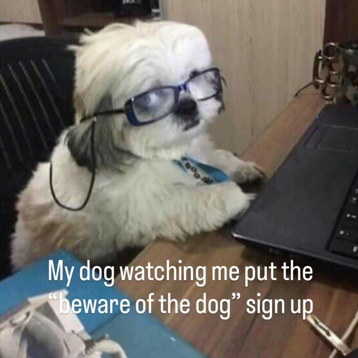 108 Amusing Posts For Your Viewing Enjoyment