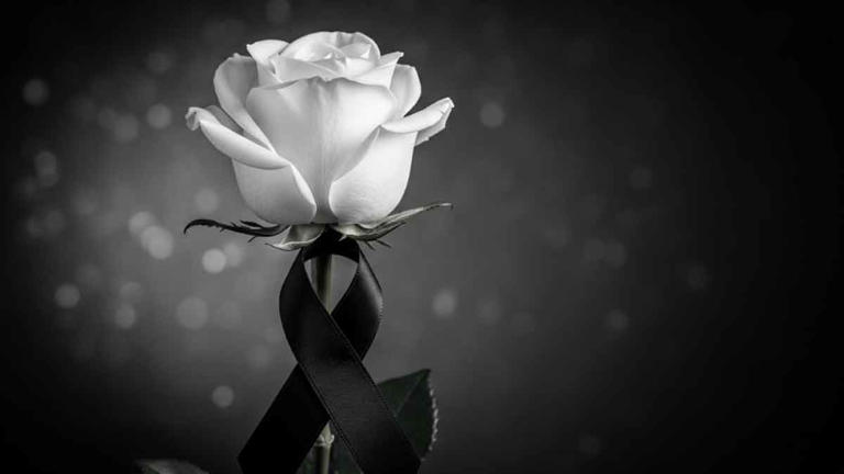 Ator envia mensagem para as filhas (Imagem/Montagem/IA)