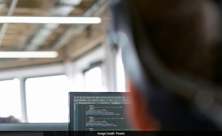 Now he'll blame the job market: Bengaluru techie reveals candidate with ...