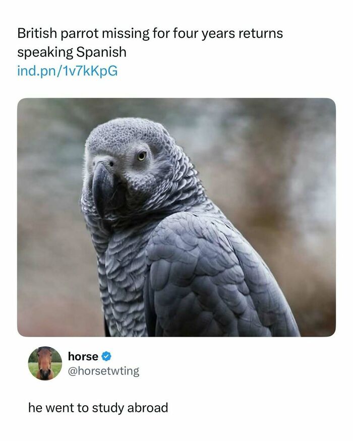 108 Amusing Posts For Your Viewing Enjoyment