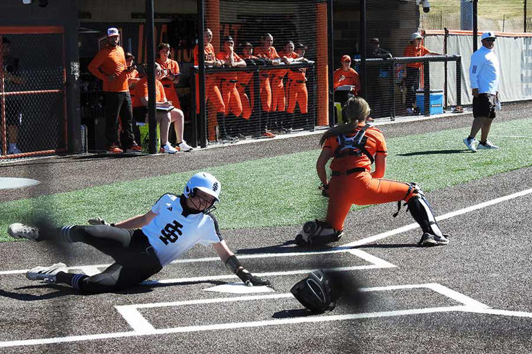 Bengals split double-dip with Oregon State; Groves drives in 5