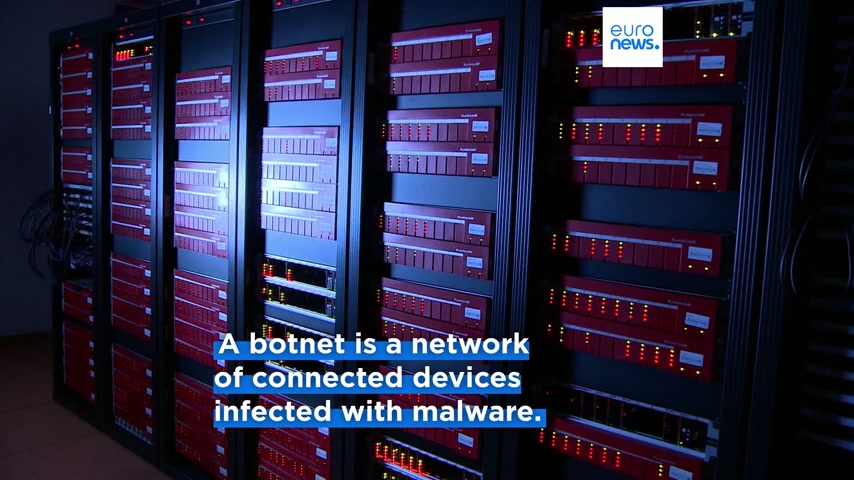 Two of world's largest bot networks behind major attacks shut down in ...