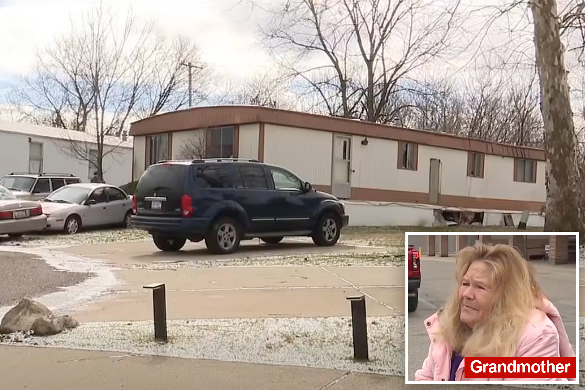 Newborn killed when left alone with stray dog her family had just taken in