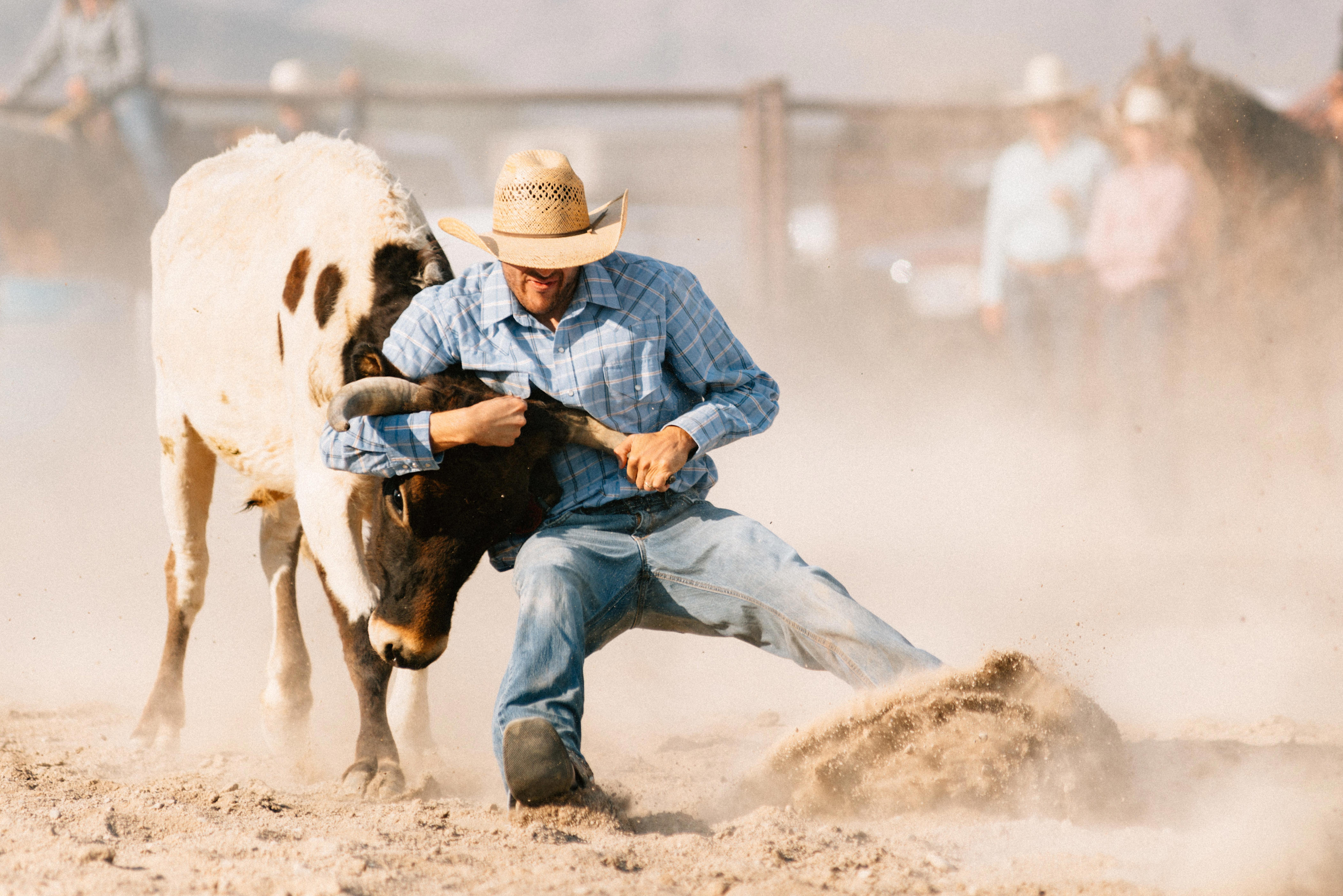Abilene to host world’s richest stand-alone steer wrestling event