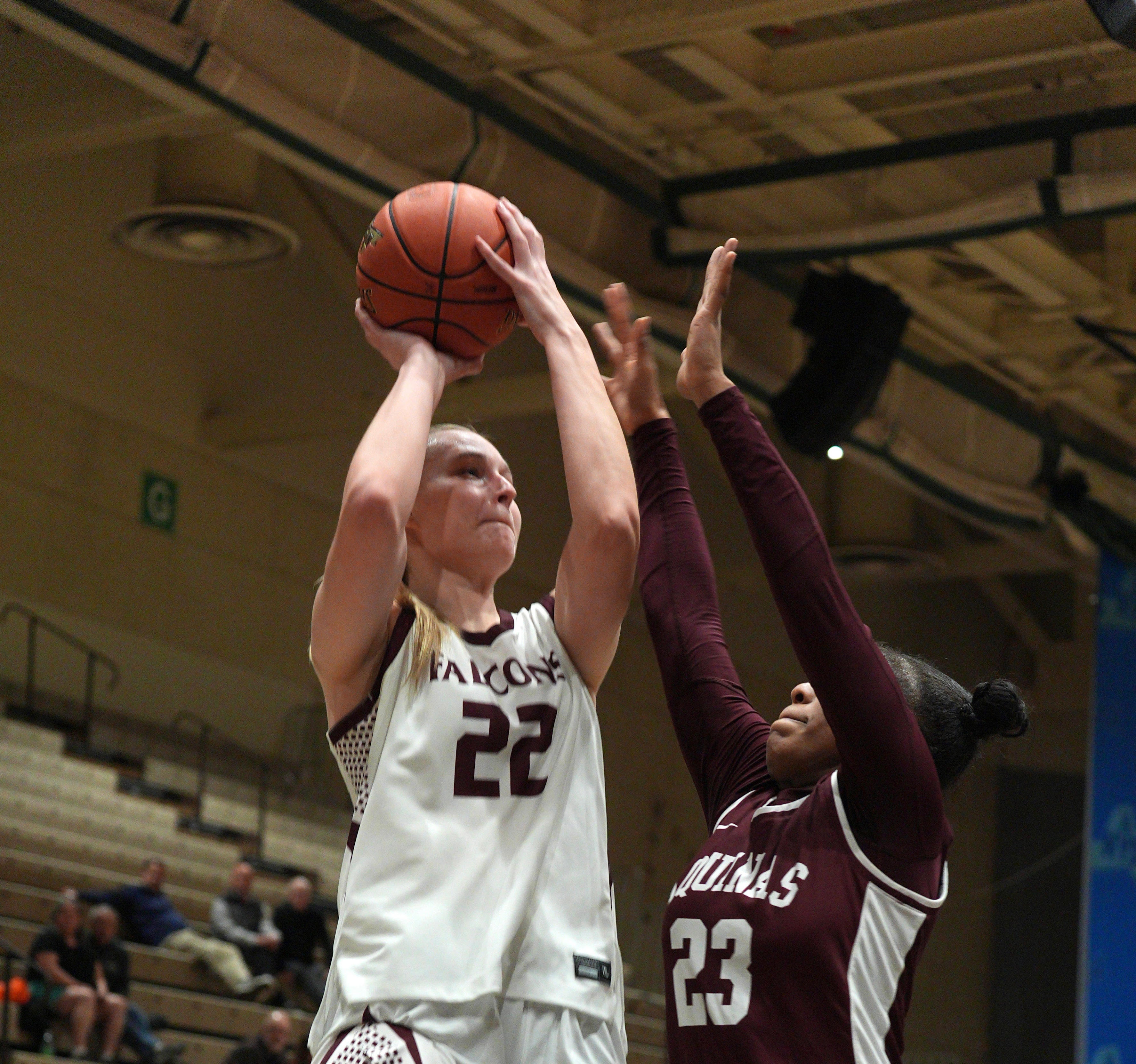 Albertus Magnus wins girls basketball state title, YMA in state final