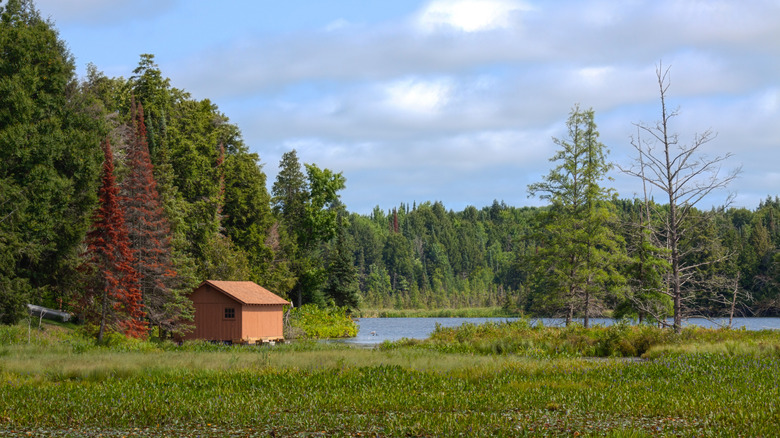 rowboat sitting next to pier on a forested lake