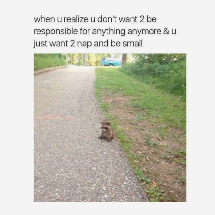 108 Amusing Posts For Your Viewing Enjoyment