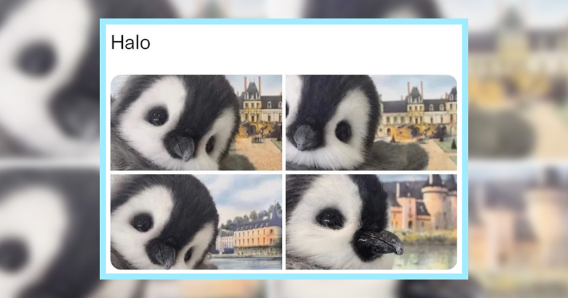 22 spirit raising memes from the kingdom of cute animals