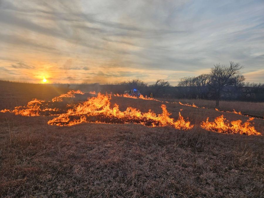 Nearly 400 acres burned after reported out-of-control prescribed fire ...