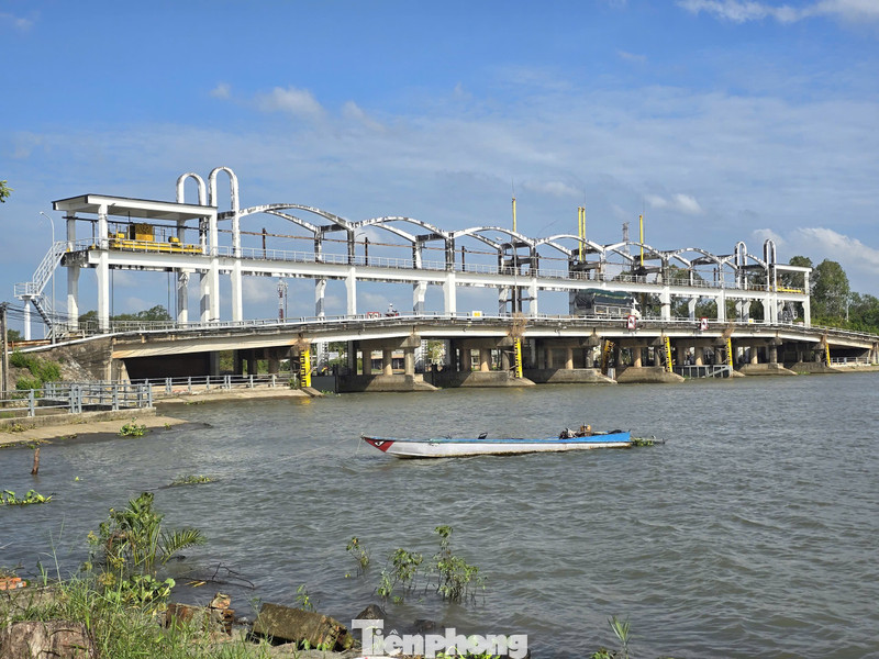 Xâm nhập mặn lấn sâu 40-60km ở Đồng bằng sông Cửu Long