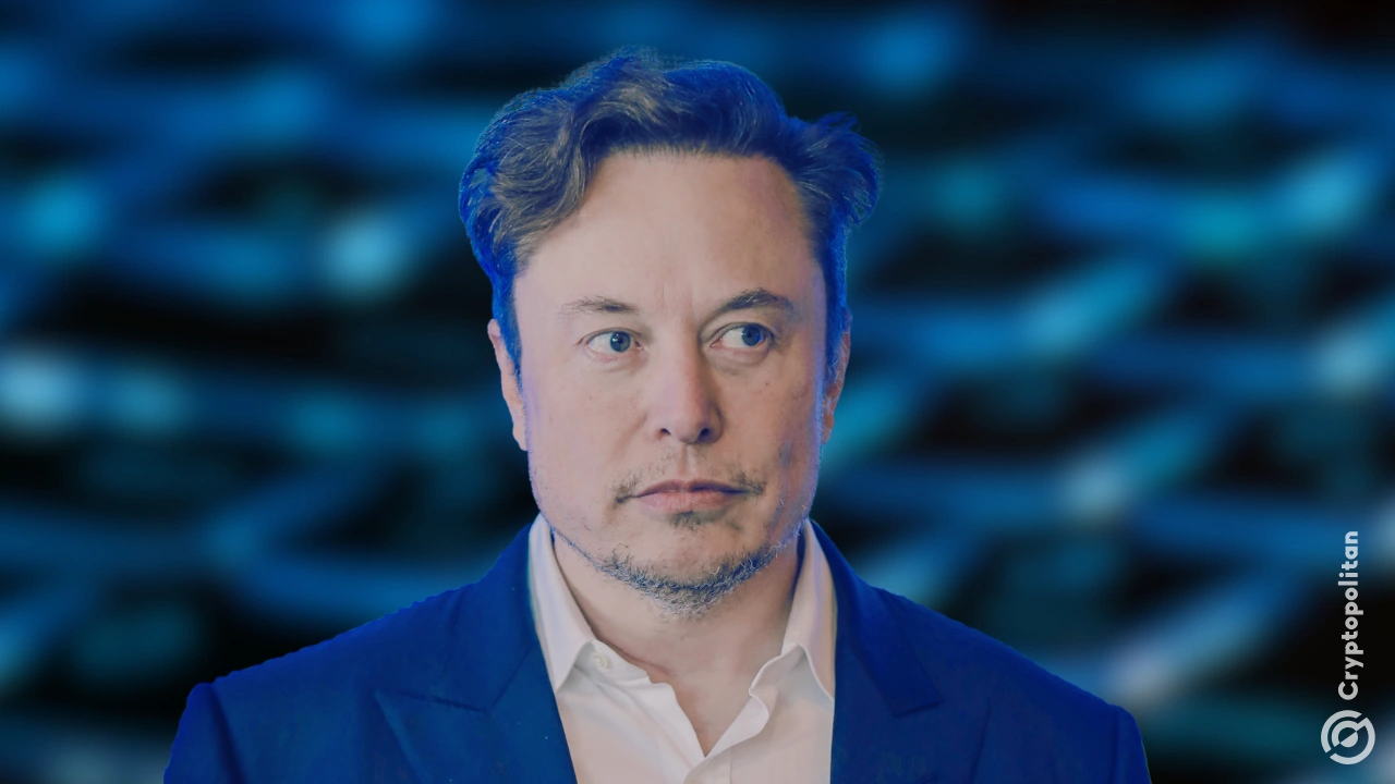 Court rules against Elon Musk in investor lawsuit over Twitter deal ...