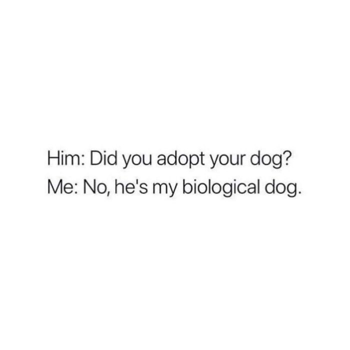 108 Amusing Posts For Your Viewing Enjoyment
