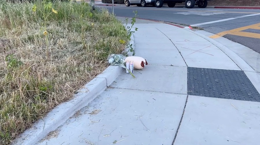 1 juvenile dead, 1 juvenile injured after San Jose e-bike crash<br><br>