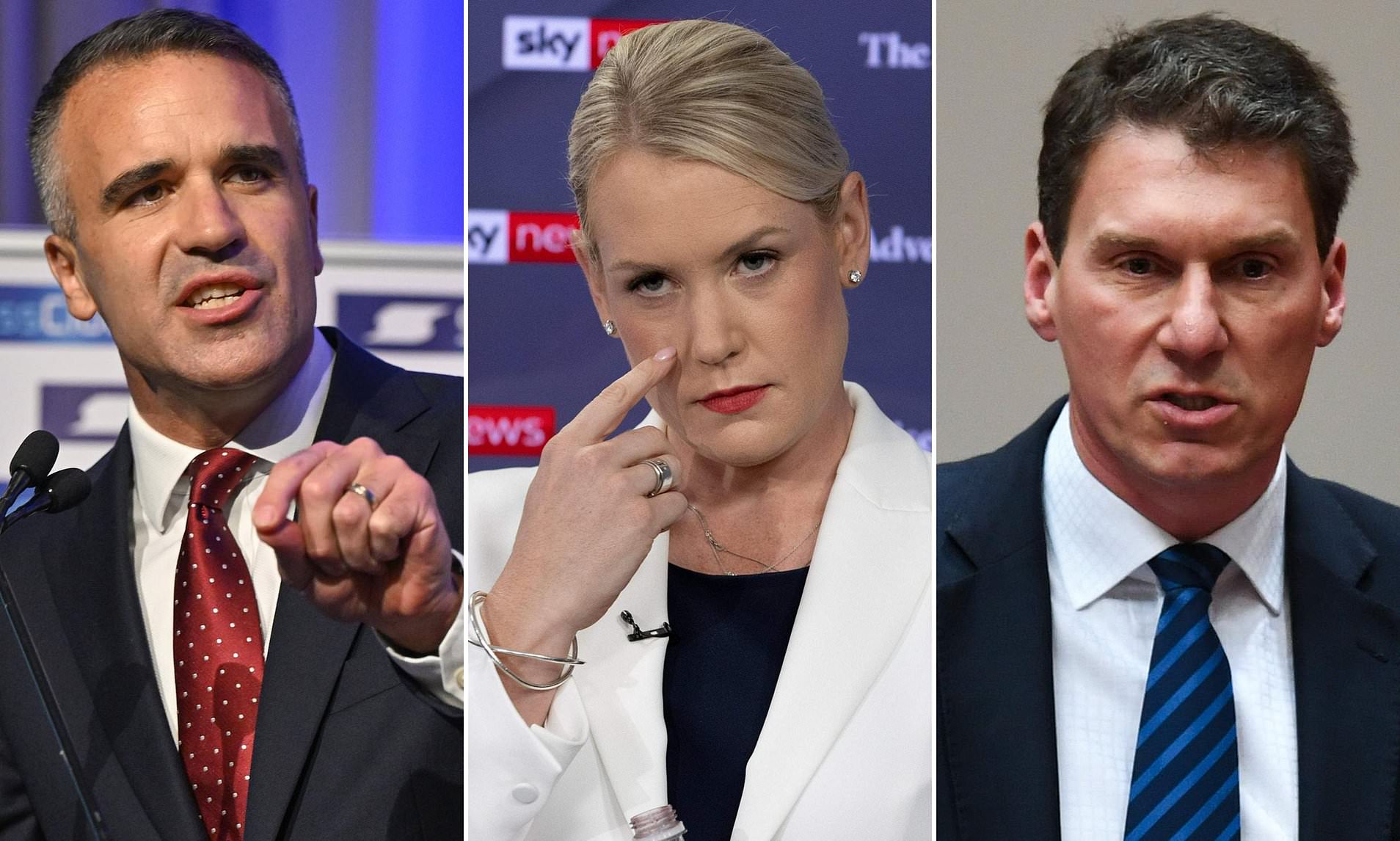 One Nation surges ahead in the polls as Aussies queue up for hours to vote in SA election<br>