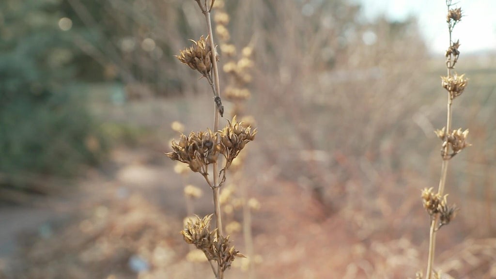 Denver Water users anticipate mandatory water restrictions ahead of ...