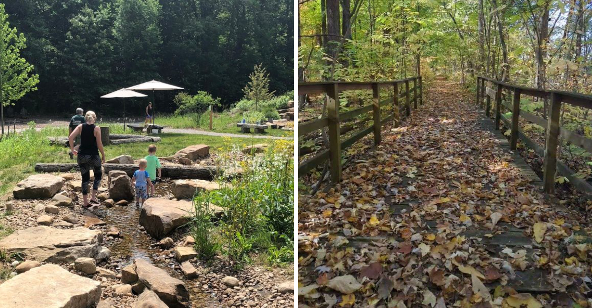 This Indiana forest is where you can find trees older than the city of ...