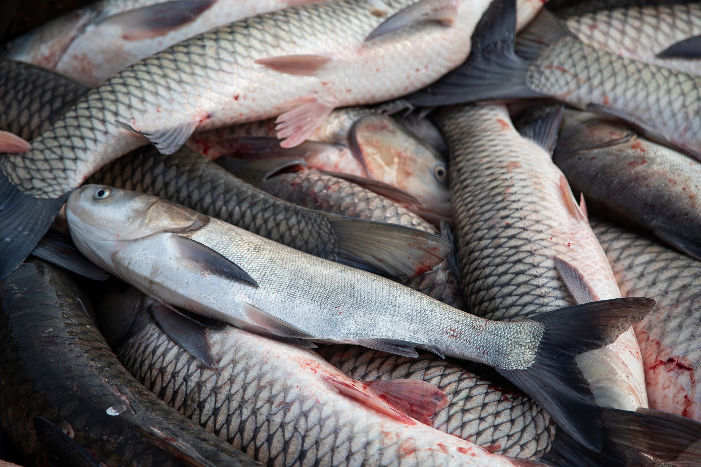 Worries grow about a 