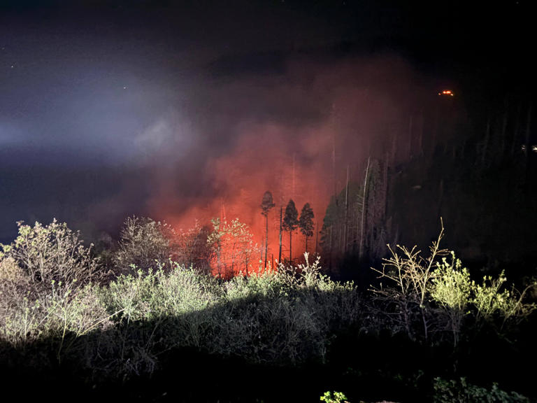 Cal Fire crews contain vegetation fire in Pollock Pines