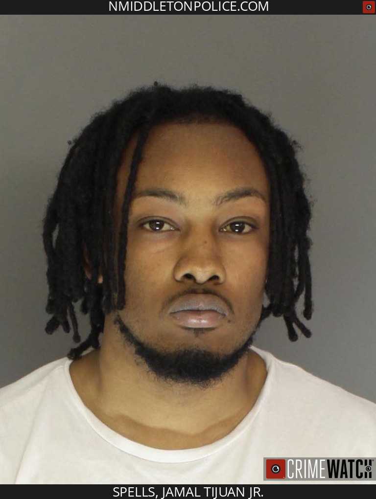 Police | Carlisle man facing charges after allegedly firing shots at ...