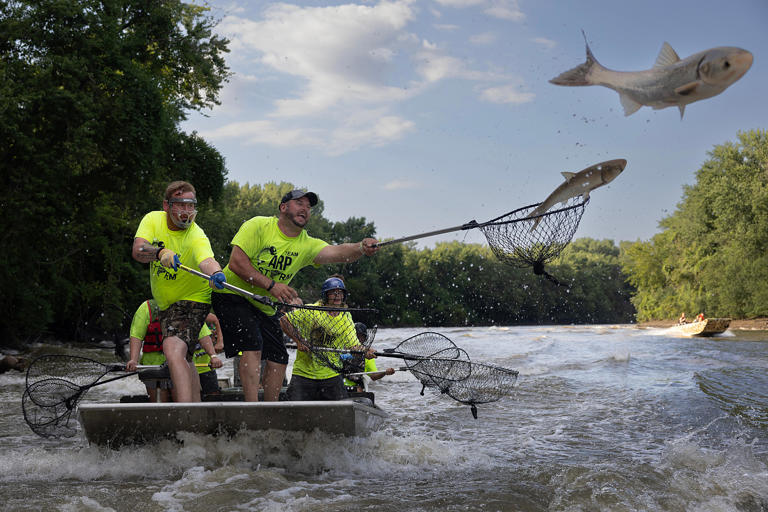 This jumping fish is causing concern in Alabama. What to know