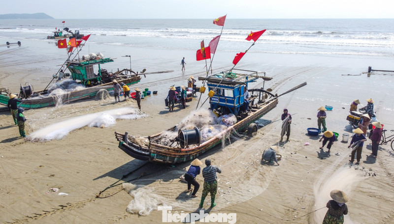 'Vượt khó' bám biển khi giá nhiên liệu tăng cao