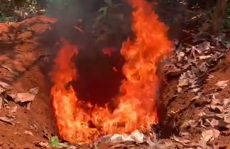 Chó dại cắn 6 người, Đắk Lắk cách ly hơn 200 vật nuôi