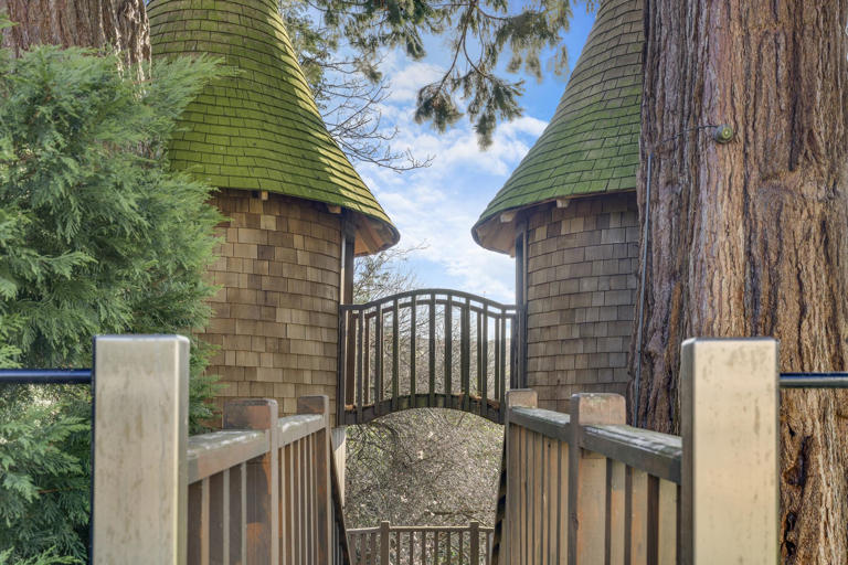 Corbridge mansion hits market with cinema, wine cellar and luxury treehouse