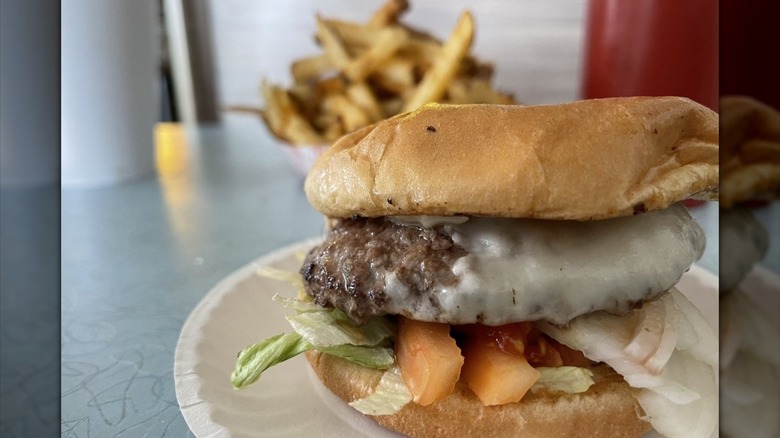 Burger on a paper plate with lettuce, onion, tomato, and cheese