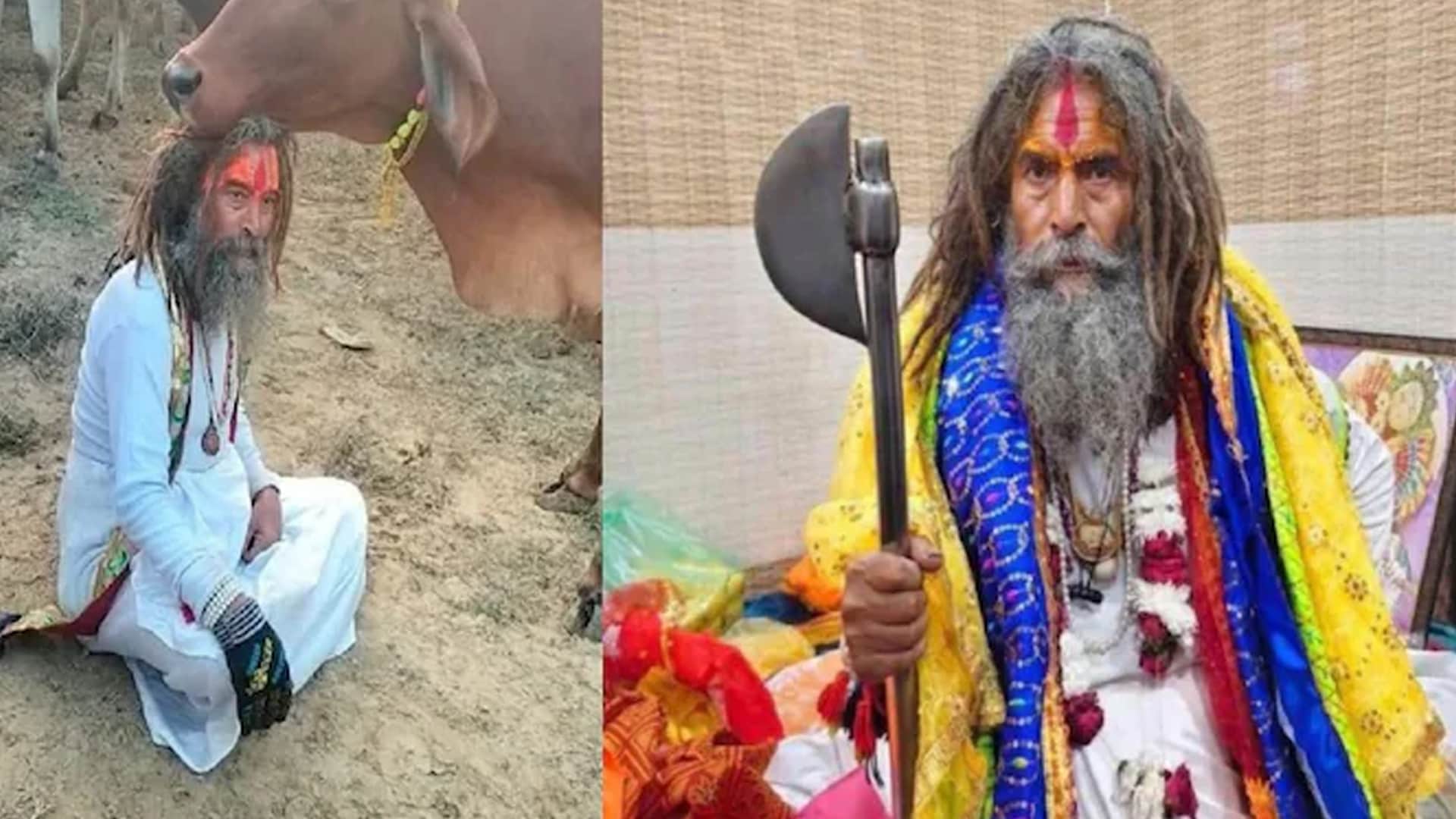 Cow vigilante dies after being hit by a truck in Mathura