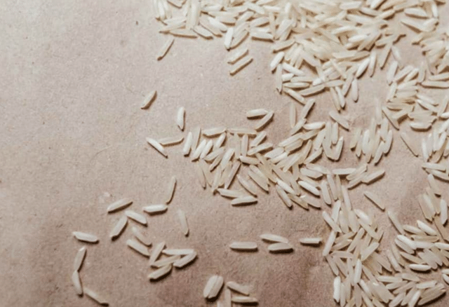 Well, rice is now being grown in the lab, and it's so different from ...