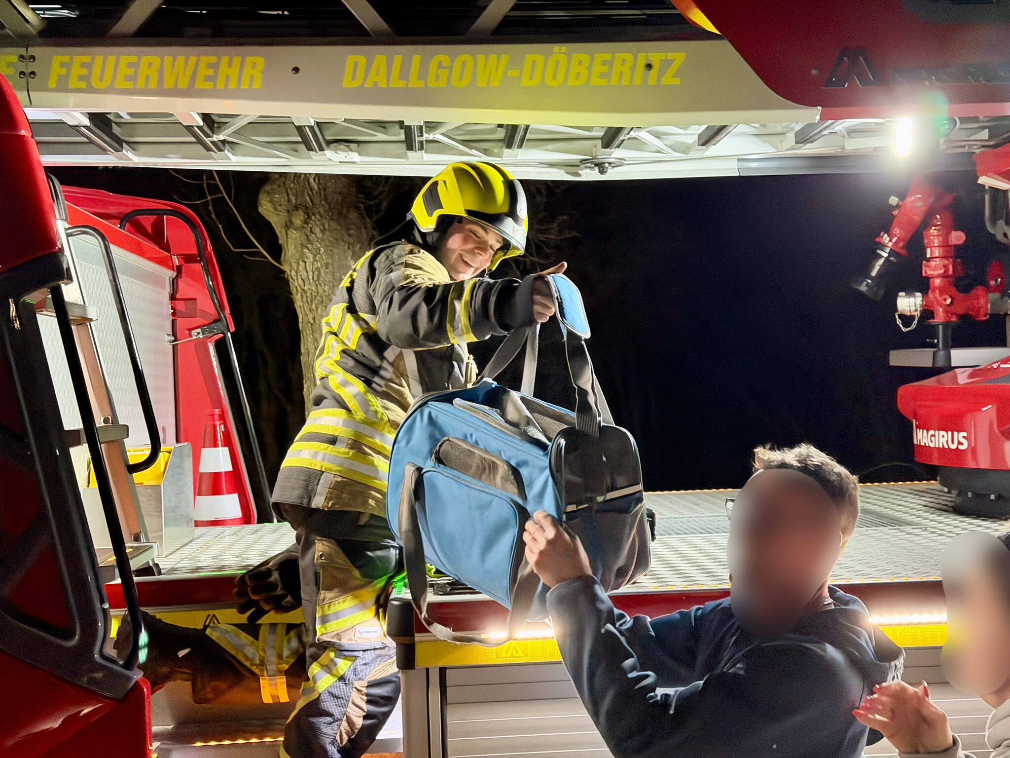 katze-in-not-auf-hausdach-feuerwehr-rettet-bonnie-in-dallgow-d-beritz