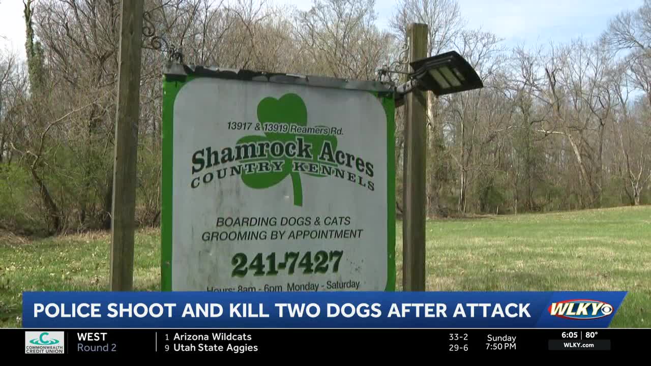 3 hospitalized after dog attack in east Jefferson County; police ...