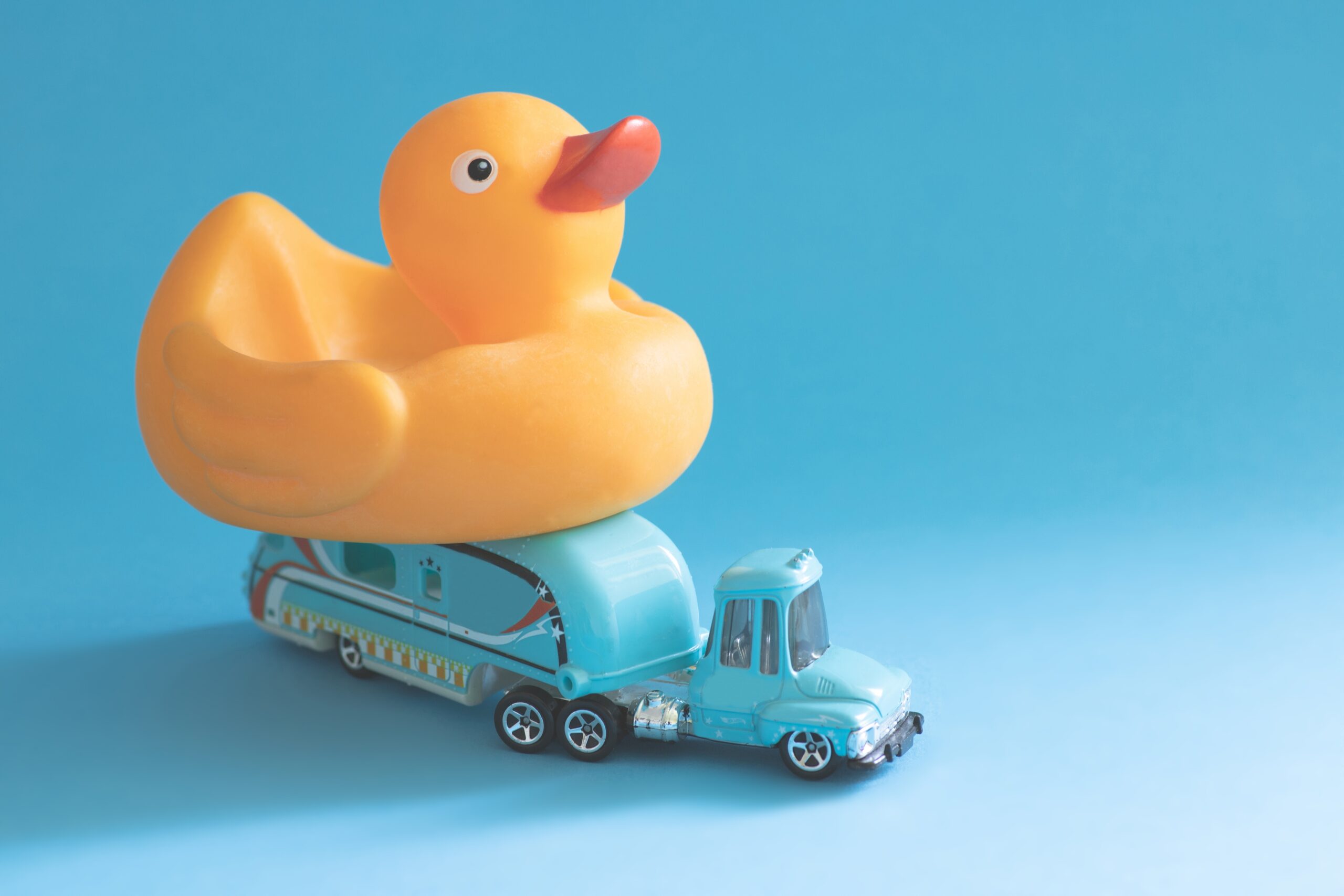 A bird flu truck crash just shut down a major Indiana highway — yes, the cargo was dead ducks<br><br>