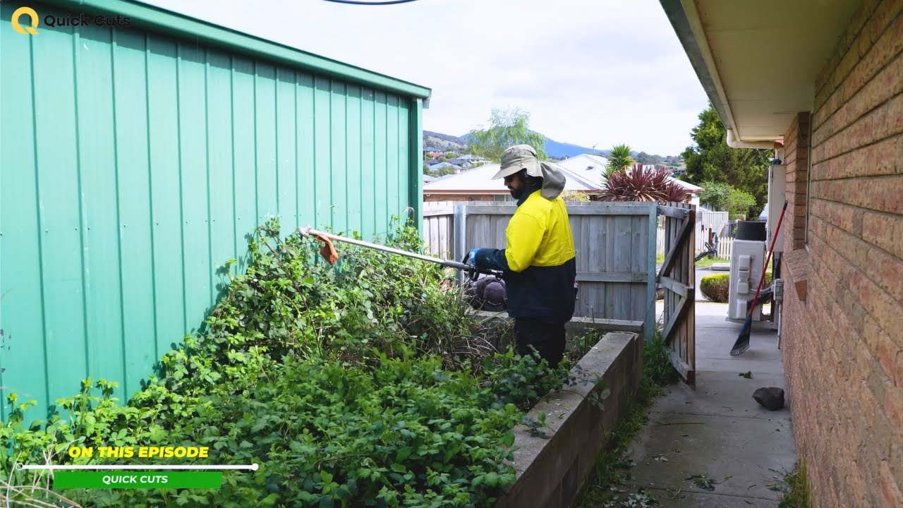 Can we transform this backyard mess?