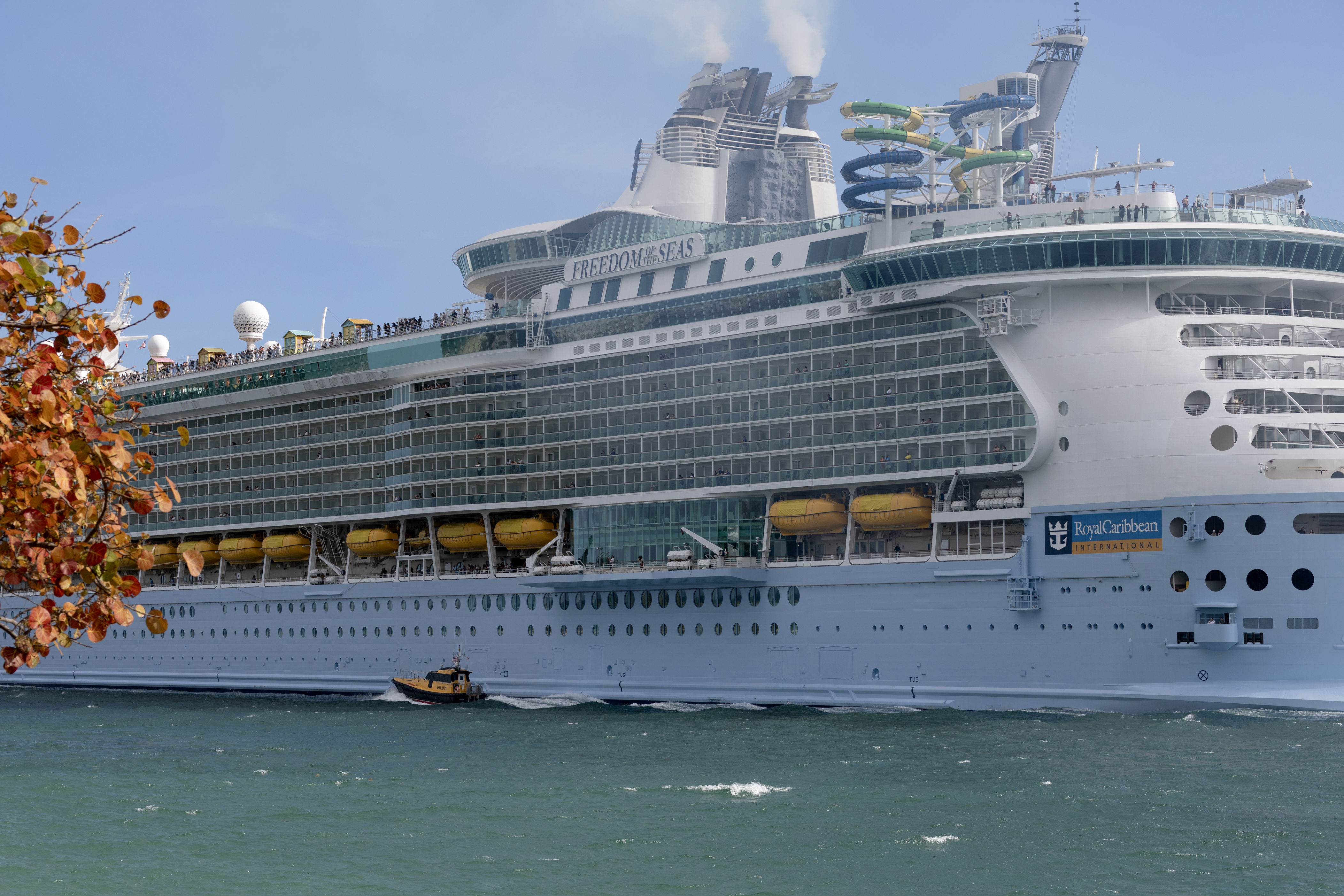 Thousands hit by Royal Caribbean cruise cancellations: What to know<br><br>