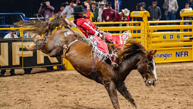 RODEOHOUSTON finals roster is set with $65,000 bonuses on the line