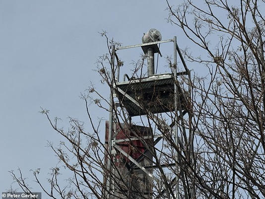 Officials said Timothee plummeted approximately 15 feet from the metal tower, which supported a spotlight
