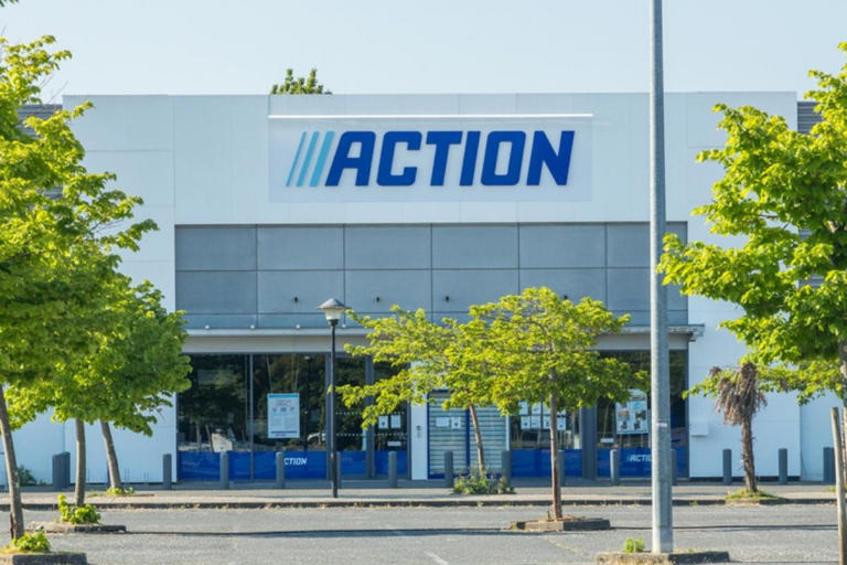 Tout le monde s’arrache cette orchidée à 9 € chez Action (et on ...