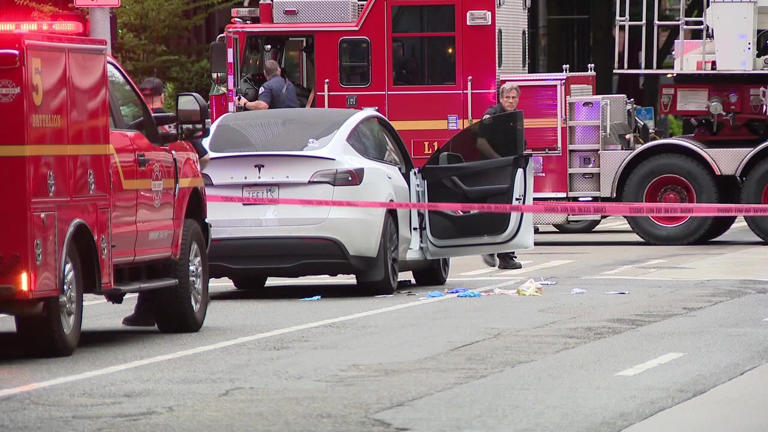 Man who killed pregnant Seattle woman found not guilty by reason of ...