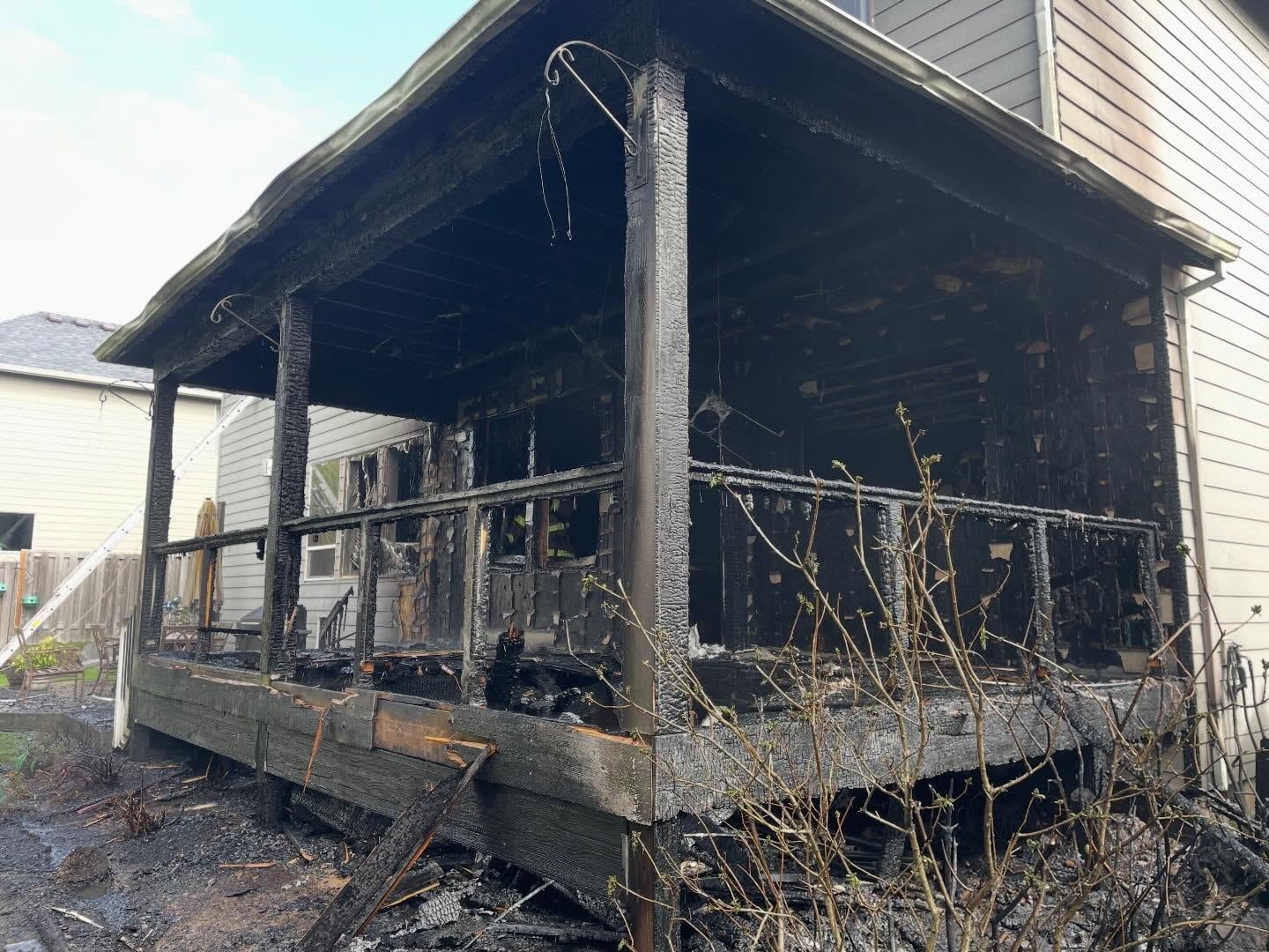Firefighters rescue injured dog from burning house in Wilsonville
