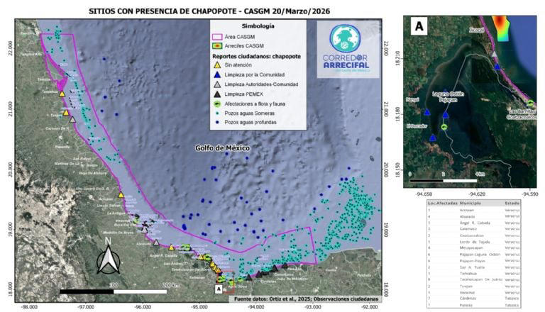 Derrame de petróleo ya se extendió 630 kilómetros, de Veracruz a Tabasco (Mapa interactivo)