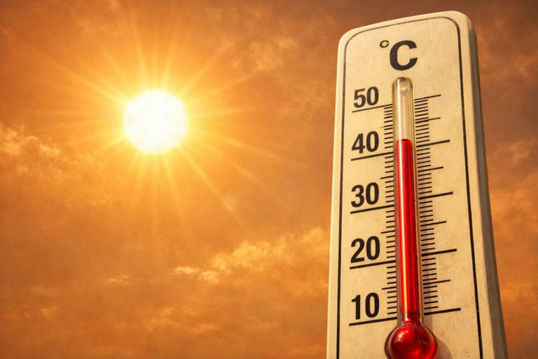 Canícula 2026 en México: la fecha exacta en que comenzará el calor ...