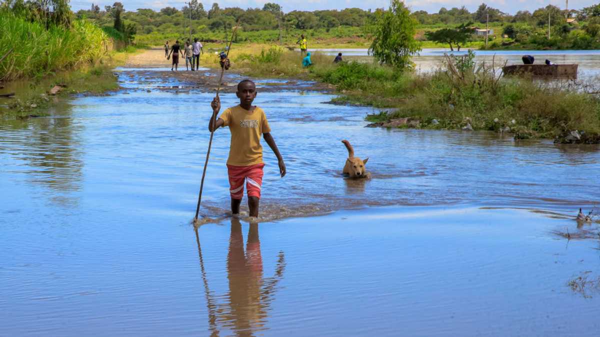 A teenager jumped into a river to save a dog – the next morning, a ...