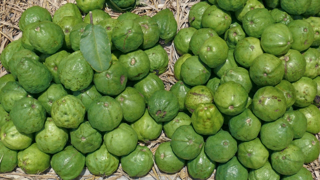 7 hyperlocal foods of Uttar Pradesh with GI tag that one needs to try