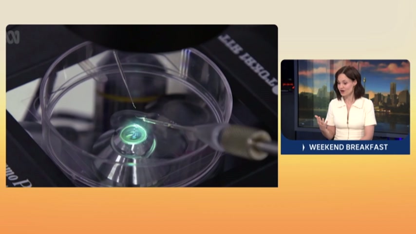 Latest episode of ABC's Compass looks at surrogacy laws and ethics ...