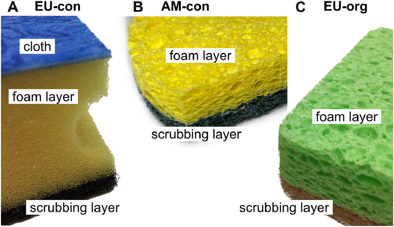 Dishwashing with side effects: Kitchen sponges release microplastics